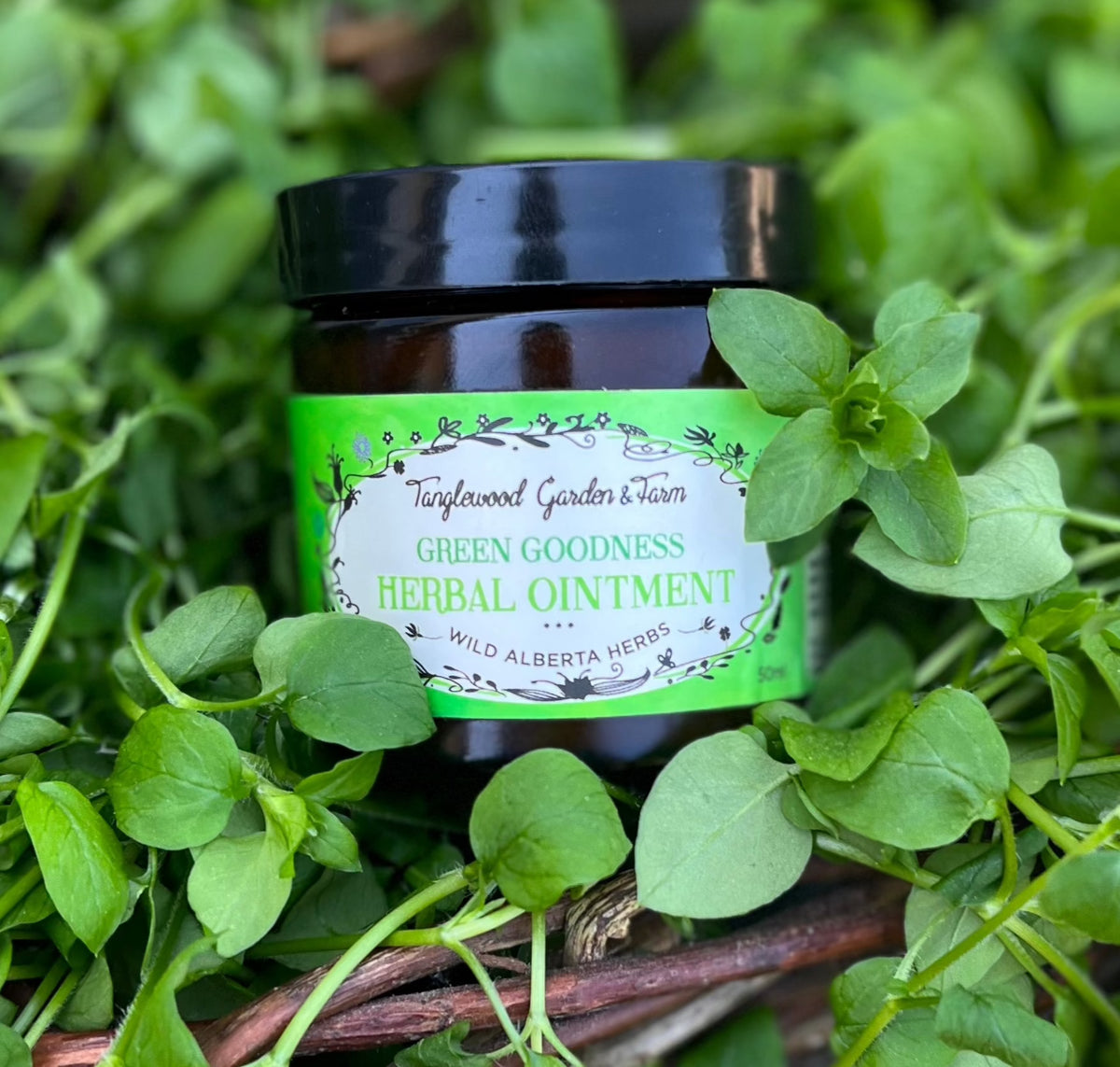 Green Goodness Herbal Ointment– Tanglewood Organic Skincare and